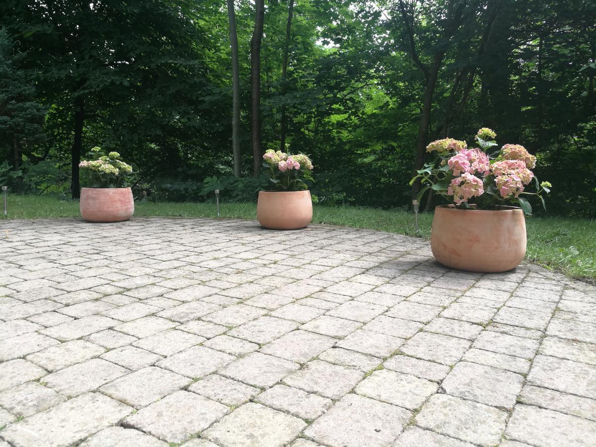 Bassanese Apartment Bled
